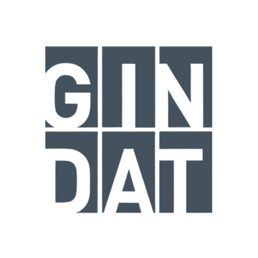 GINDAT GmbH – Google Ads Kunde IT-Dienstleister